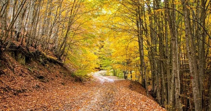 مکان های دیدنی کلاردشت + بهترین فصل سفر به کلاردشت