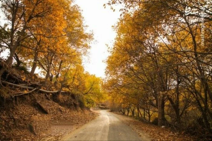 7 تا از زیباترین جاده های ایران در فصل پاییز