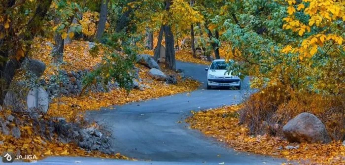 7 تا از زیباترین جاده های ایران در فصل پاییز