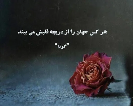 جملات فلسفی و ناب که روحت رو بیدار می‌کنند!