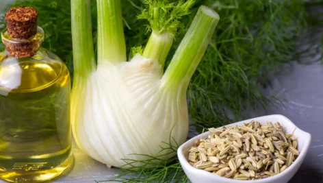 25 مورد از مهم ترین خواص و مضرات رازیانه + چه کسانی نباید بخورند!