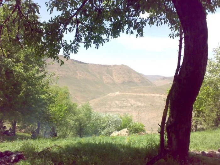 چشمه شاه بلاغی