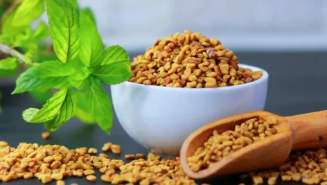 24 مورد از مهم ترین خواص و مضرات شنبلیله + چه کسانی نباید بخورند!