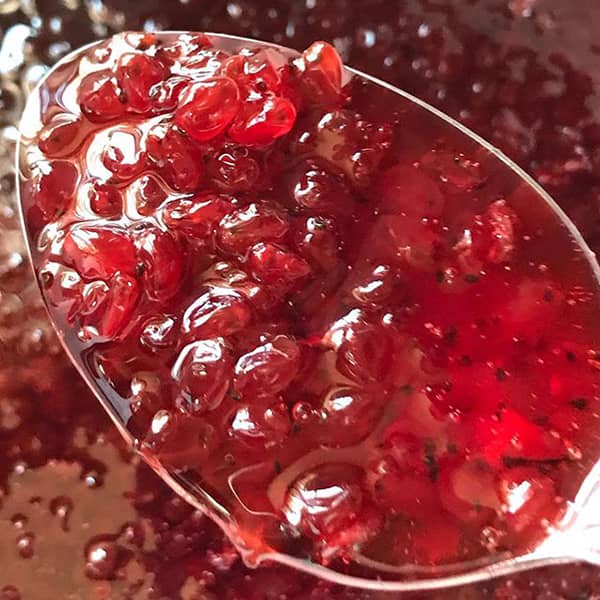 مربای زرشک تازه , طرز تهیه مربای زرشک , مربای زرشک , طرز تهیه مربا زرشک تازه