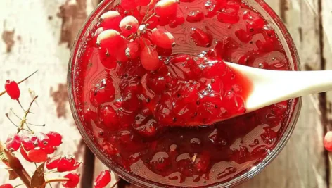 طرز تهیه مربای زرشک